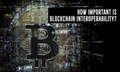IM钱包内的币的价值探讨与分析