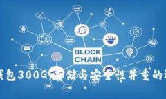 比特币钱包300G：存储与安全性并重的选择指南