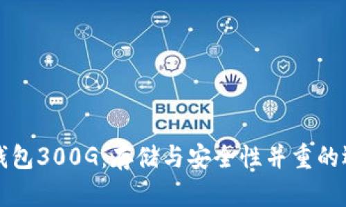 比特币钱包300G：存储与安全性并重的选择指南