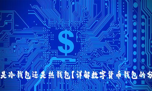 Token.im是冷钱包还是热钱包？详解数字货币钱包的分类与功能