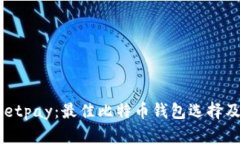  Instawalletpay：最佳比特币钱包选择及其优势解析