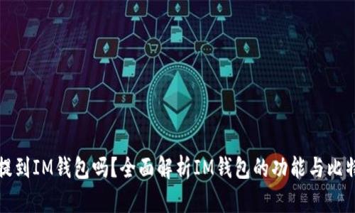 比特币能提到IM钱包吗？全面解析IM钱包的功能与比特币的互动