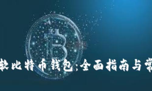 如何使用微软比特币钱包：全面指南与常见问题解答